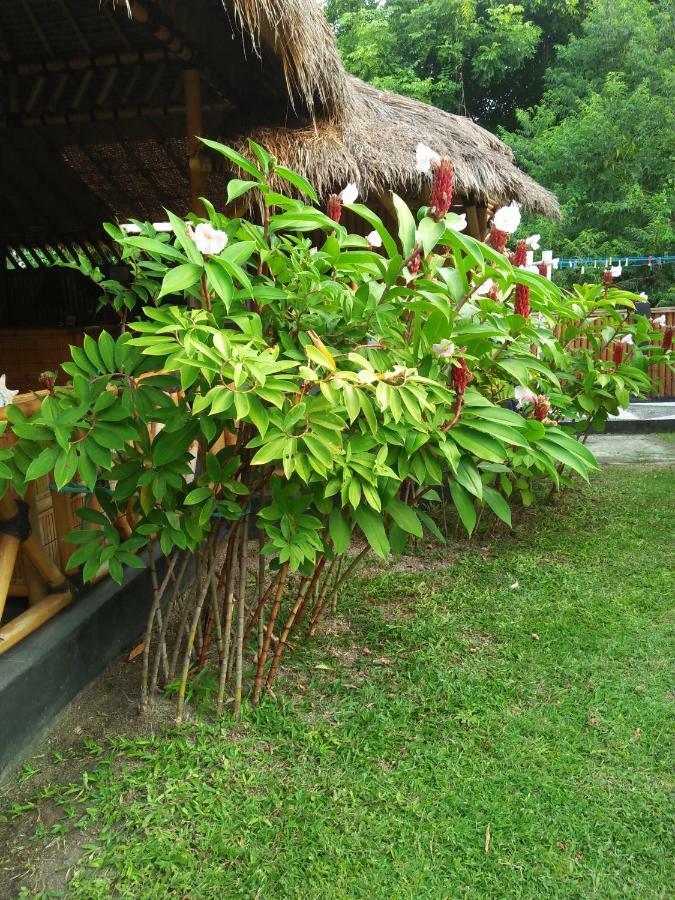 Tua Tua Keladi Bungalows Gili Air Exterior foto